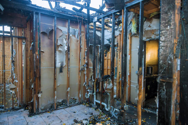 Professional Fire Damage Removal technician working in Tilden, NE